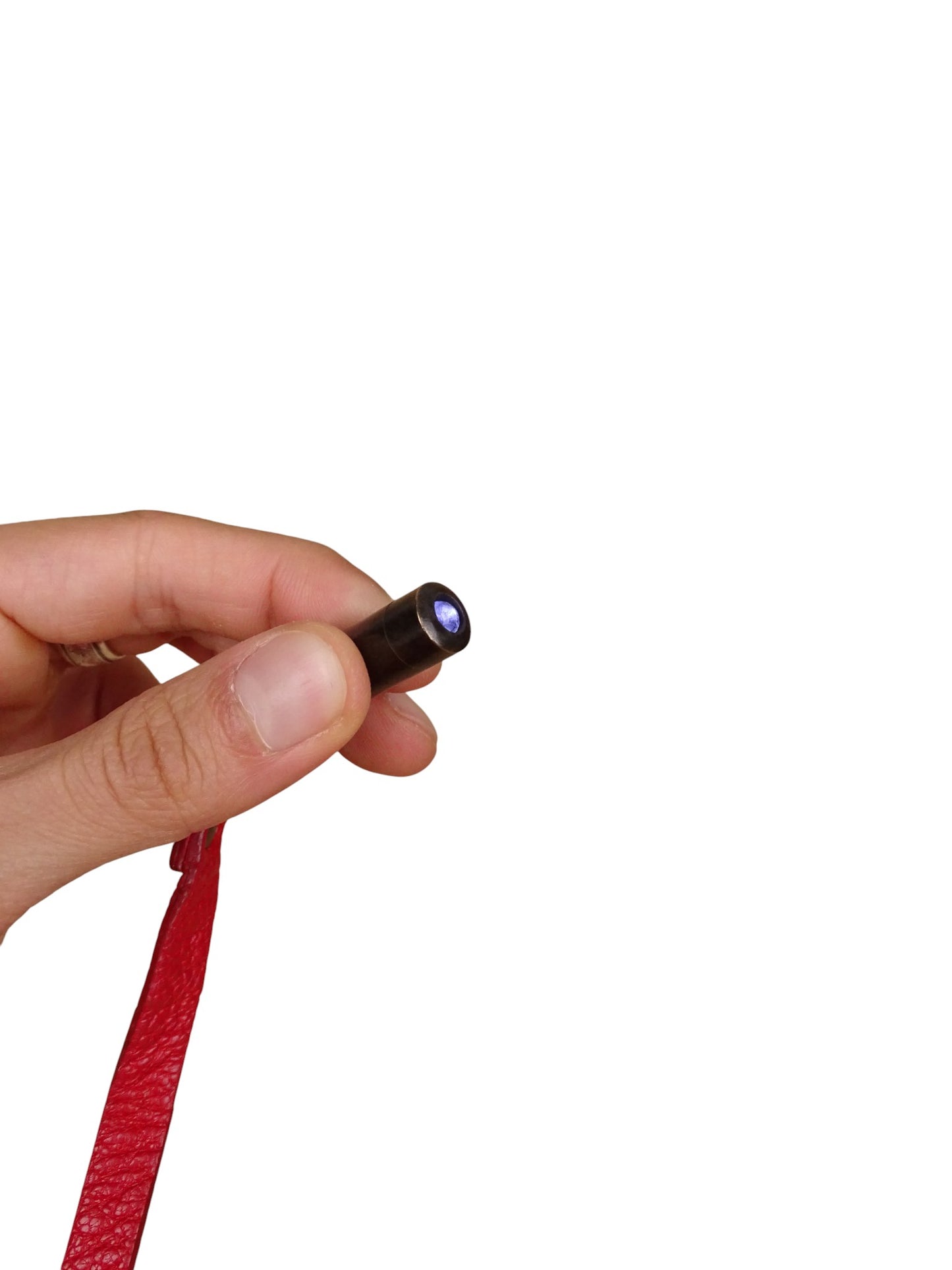 Jérôme Dreyfuss Sac Bandoulière "Luc" Python Rouge